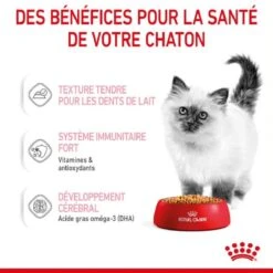Royal Canin Kitten Sachet En Gelée 12 X 85 G -Animalerie royal canin kitten sachet en gel e 12 x 85 g 3