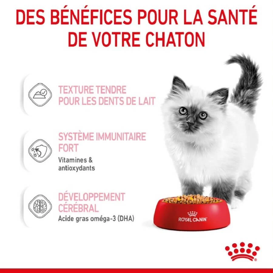 Royal Canin Kitten Sachet En Gelée 12 X 85 G – Image 6