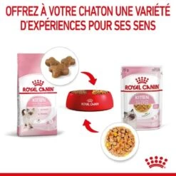 Royal Canin Kitten Sachet En Gelée 12 X 85 G -Animalerie royal canin kitten sachet en gel e 12 x 85 g 4