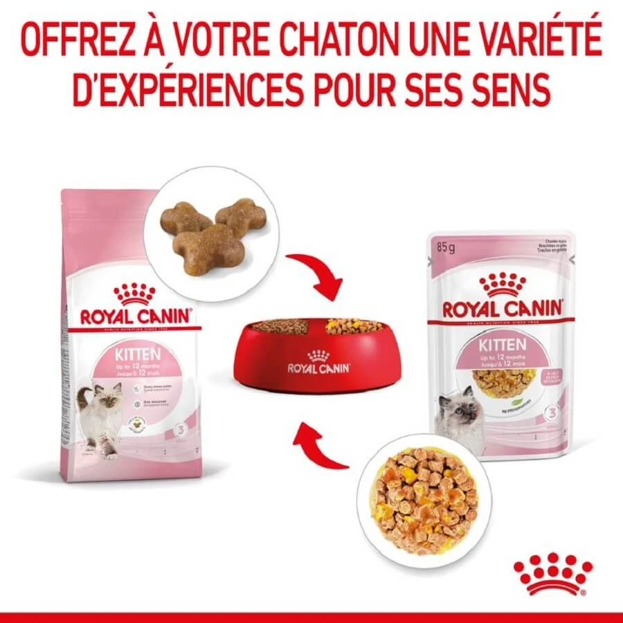 Royal Canin Kitten Sachet En Gelée 12 X 85 G – Image 7