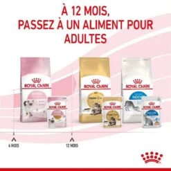 Royal Canin Kitten Sachet En Gelée 12 X 85 G -Animalerie royal canin kitten sachet en gel e 12 x 85 g 7