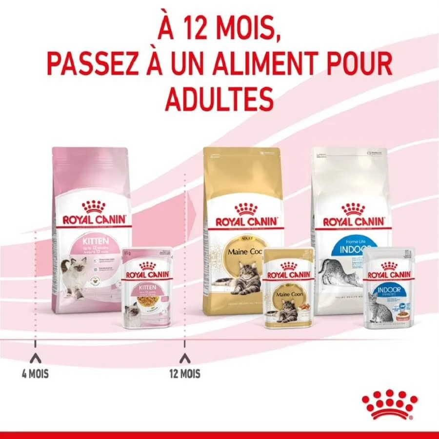 Royal Canin Kitten Sachet En Gelée 12 X 85 G – Image 8