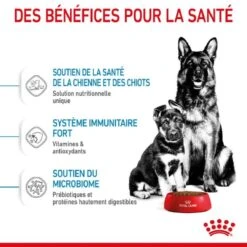 Royal Canin Vet Maxi Starter Mother And Babydog 4 Kg 18 Royal Canin Vet Maxi Starter Mother And Babydog 4 Kg -Animalerie royal canin maxi starter mother and babydog 3 1