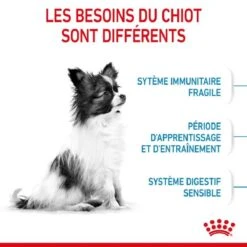 Royal Canin Vet Puppy X-Small Chiot De 2 à 10 Mois 3 Kg -Animalerie royal canin puppy x small chiot 2 1
