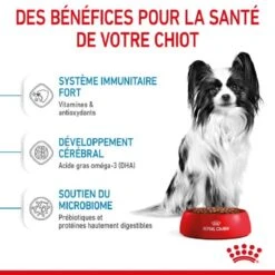 Royal Canin Vet Puppy X-Small Chiot De 2 à 10 Mois 3 Kg -Animalerie royal canin puppy x small chiot 3 1