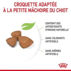 Royal Canin Vet Puppy X-Small Chiot De 2 à 10 Mois 3 Kg -Animalerie royal canin puppy x small chiot 4 1