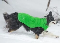 Veste Ruffwear Quinzee Grise XXS - Destockage 9 Veste Ruffwear Quinzee Grise XXS - Destockage -Animalerie ruffwear manteau quinzee vertweb