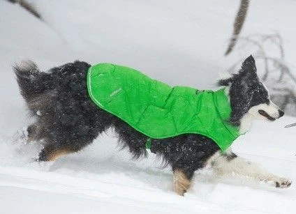 Veste Ruffwear Quinzee Grise XXS - Destockage 4 Veste Ruffwear Quinzee Grise XXS - Destockage – Image 2