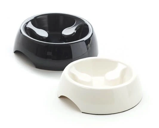 Gamelle Anti Glouton Slow Down 400 Ml 3 Gamelle Anti Glouton Slow Down 400 Ml