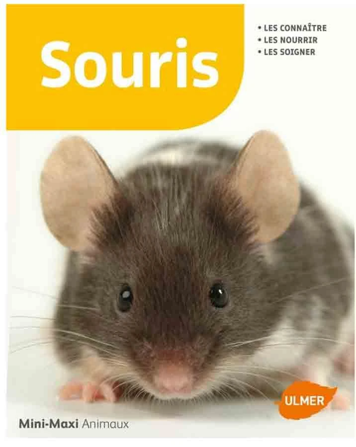 Livre - Souris 3 Livre - Souris