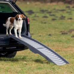 Trixie Rampe Pliable Petwalk 39 × 160 Cm