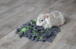 Trixie Tapis à Renifler Pour Lapin Et Cochon D'inde 27 × 20 Cm -Animalerie trixie tapis a renifler pour lapin et cochon d inde4