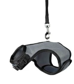 Trixie Harnais Soft Avec Laisse Pour Rongeur 14-19 Cm 9 Trixie Harnais Soft Avec Laisse Pour Rongeur 14-19 Cm -Animalerie trixie harnais soft avec laisse pour rongeur lapin nains