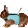 Trixie Harnais Soft Avec Laisse Pour Rongeur 14-19 Cm -Animalerie trixie harnais soft avec laisse pour rongeur type lapin nains 2