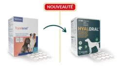 Virbac HYALORAL Chien Plus De 5 Kg 120 Cp 5 Virbac HYALORAL Chien Plus De 5 Kg 120 Cp -Animalerie virbac hyaloral chien plus de 5 kg 120 cp
