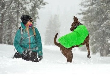 Veste Ruffwear Quinzee Grise XXS - Destockage 7 Veste Ruffwear Quinzee Grise XXS - Destockage – Image 5