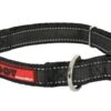 Zolux Collier Réglable MOOV Noir 40 Mm 1 Zolux Collier Réglable MOOV Noir 40 Mm -Animalerie zolux collier re glable moov noir 40 mm