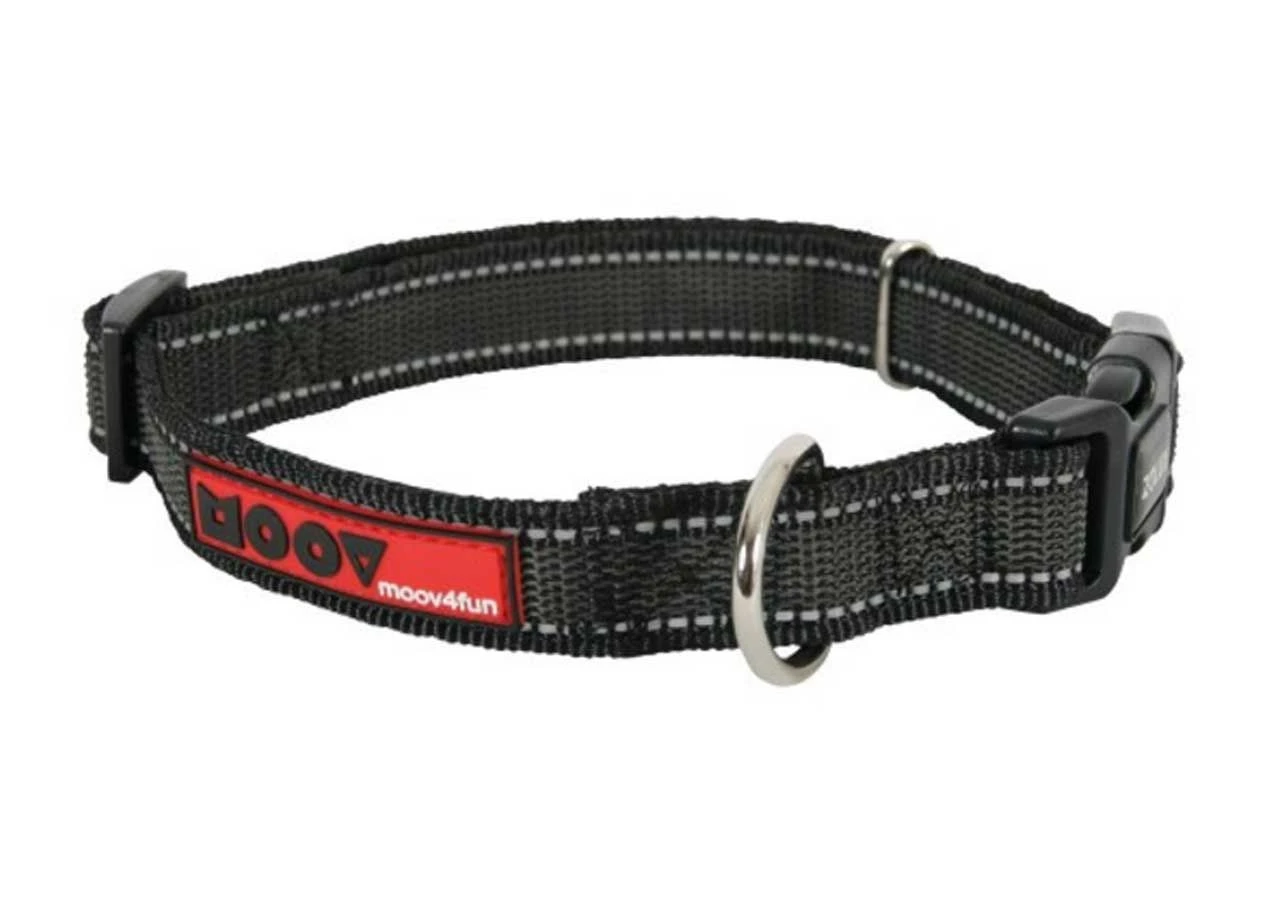 Zolux Collier Réglable MOOV Noir 40 Mm 7 Zolux Collier Réglable MOOV Noir 40 Mm – Image 5
