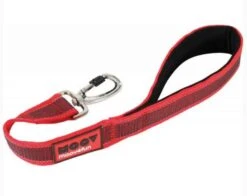 Zolux Laisse MOOV Courte Rouge 40 Mm